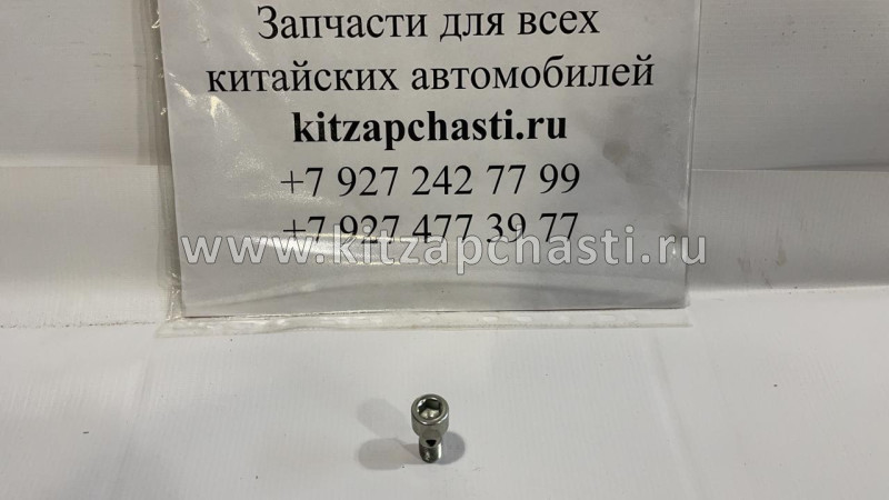 Болт доступа воды HAVAL H6 (БЕНЗИН) 1118037-EG01T